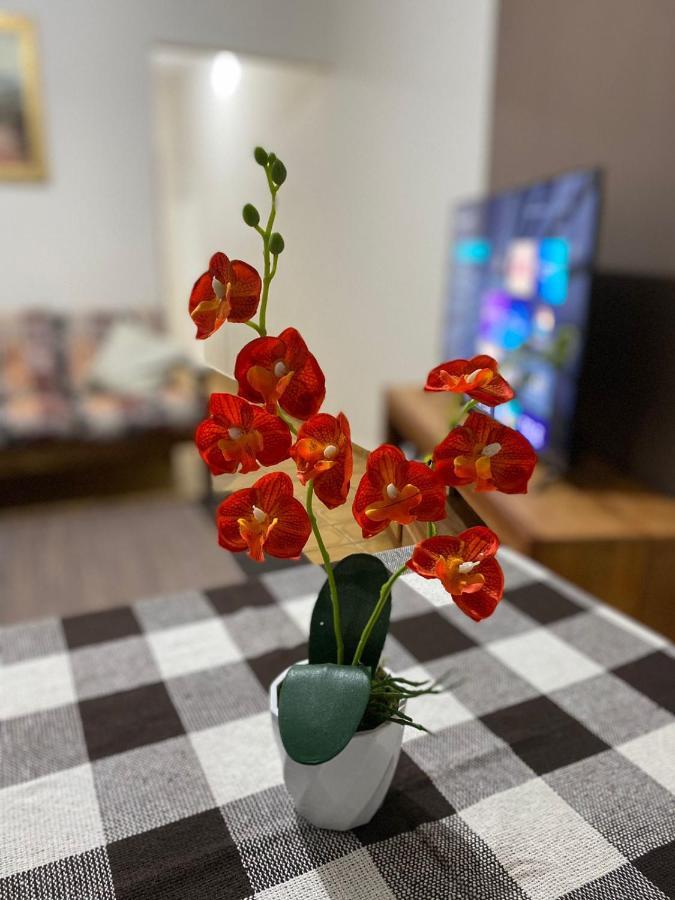 Casa Aconchegante A 400M Da Praia Da Tartaruga - Ar Condicionado - Wifi 450Mb - Netflix - Cozinha Completa - Garagem Rio das Ostras Bagian luar foto